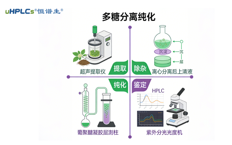 深耕多糖分析制备纯化技术：从原料到高纯度产品的全流程解决方案！