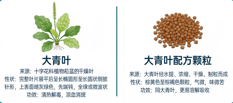 中药丨大青叶含量测定